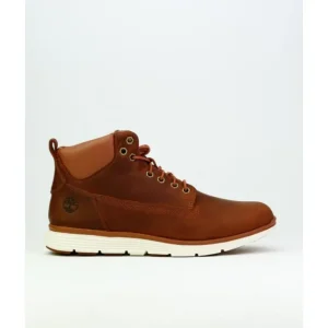 Botines de hombre Timberland TB0A21KNF131