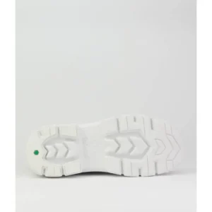 Botines de mujer Timberland TBOA02JGD269