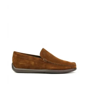 Mocasines de hombre Frau 1464 FARRO