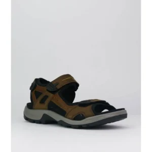 Sandalias de hombre Ecco 069564-56401