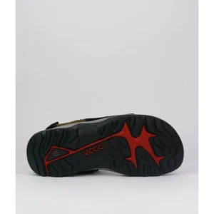 Sandalias de hombre Ecco 069564-56401