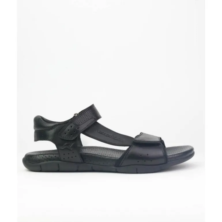 sandalias_de_hombre_kanga_0-10.webp Sandalias de hombre Kangaroos 270-11