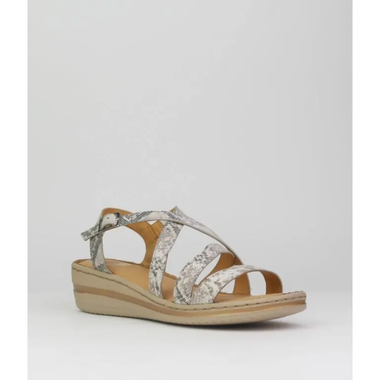 sandalias_de_mujer_elio_b_1-4.webp Sandalias de mujer Elio Berhanyer EB1223-12