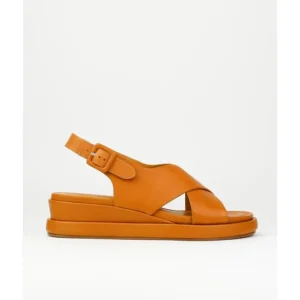 Sandalias de mujer Elvio Zanon 3408X