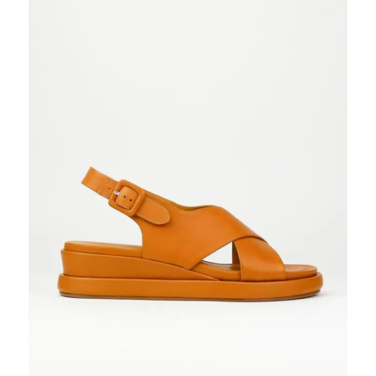 sandalias_de_mujer_elvio__0-1.webp Sandalias de mujer Elvio Zanon 3408X