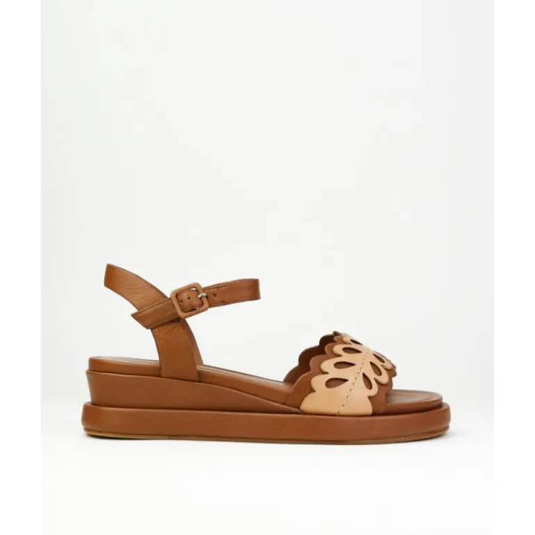 sandalias_de_mujer_elvio__0-2.webp Sandalias de mujer Elvio Zanon 3404X