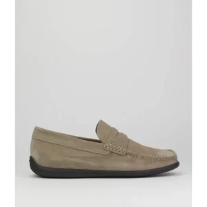 Zapatos de hombre Frau 14B2