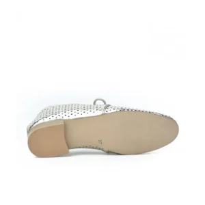 Zapatos de mujer Caramelo CAR315-99